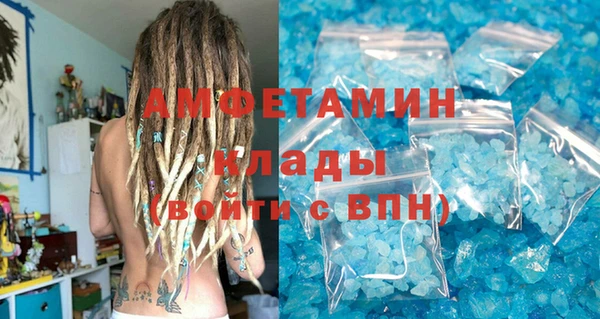 PSILOCYBIN Бородино