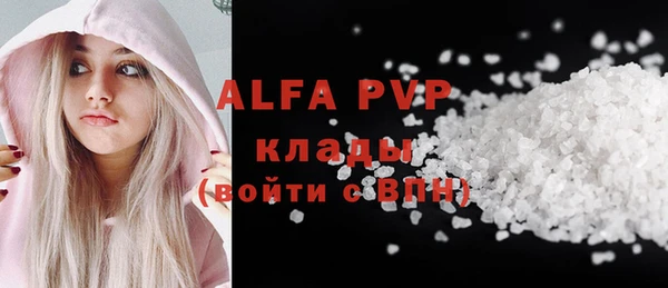 амф Чекалин