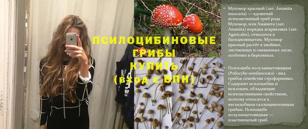 Альфа ПВП Чегем