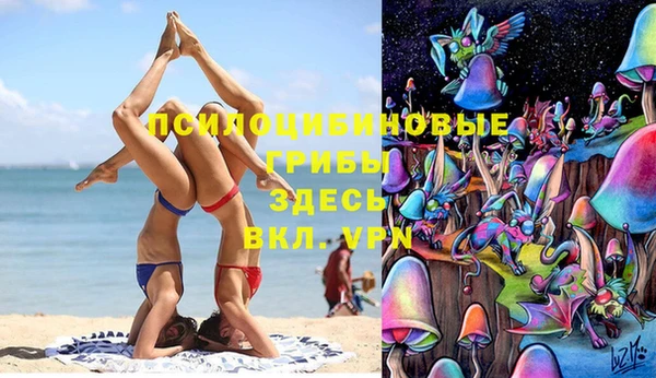 Альфа ПВП Чегем