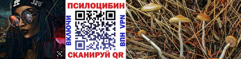 Псилоцибиновые грибы Psilocybine cubensis Разумное