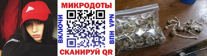 Галлюциногенные грибы прущие грибы кракен ONION Разумное как найти закладки